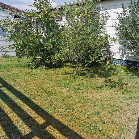 Gibson Court Motel Rotorua Bagian luar foto